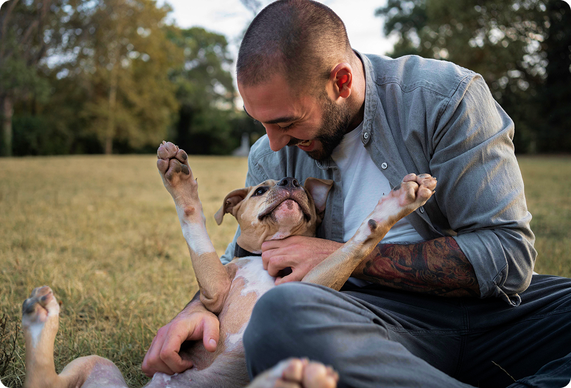 A man with tattooed arms sitting on grass in a park, playfully cuddling a puppy rolling on its back in Germany.