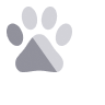 Icon grey paw