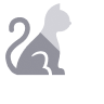 icon grey cat