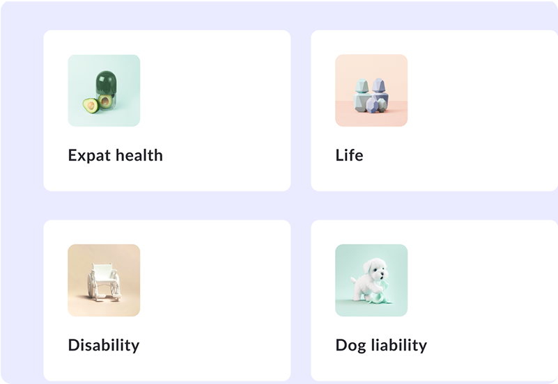 Types of insurance in Italy