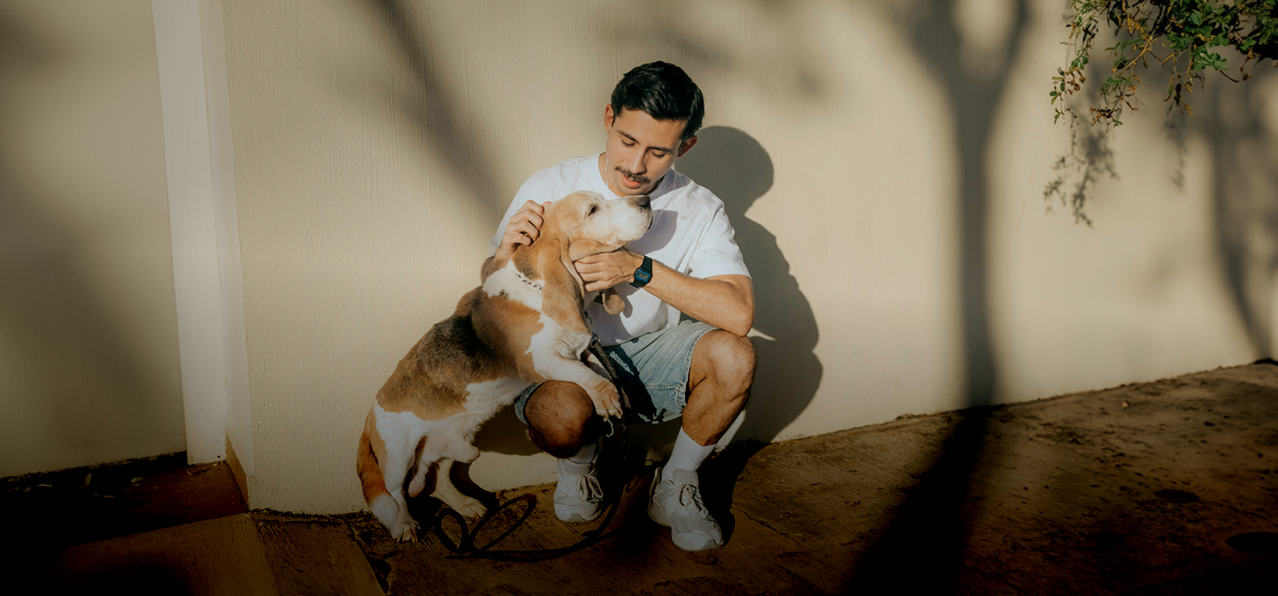A young man crouching down outdoors, affectionately petting his beagle in warm afternoon light.