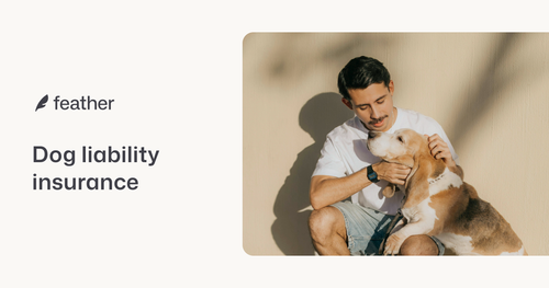 Dog Liability Insurance in Germany